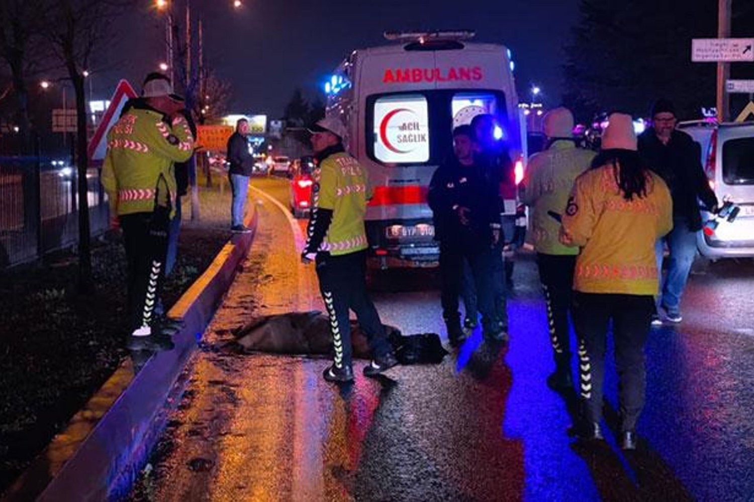 Bursa-Ankara Karayolunda Feci Kaza: Bir Kişi Hayatını Kaybetti