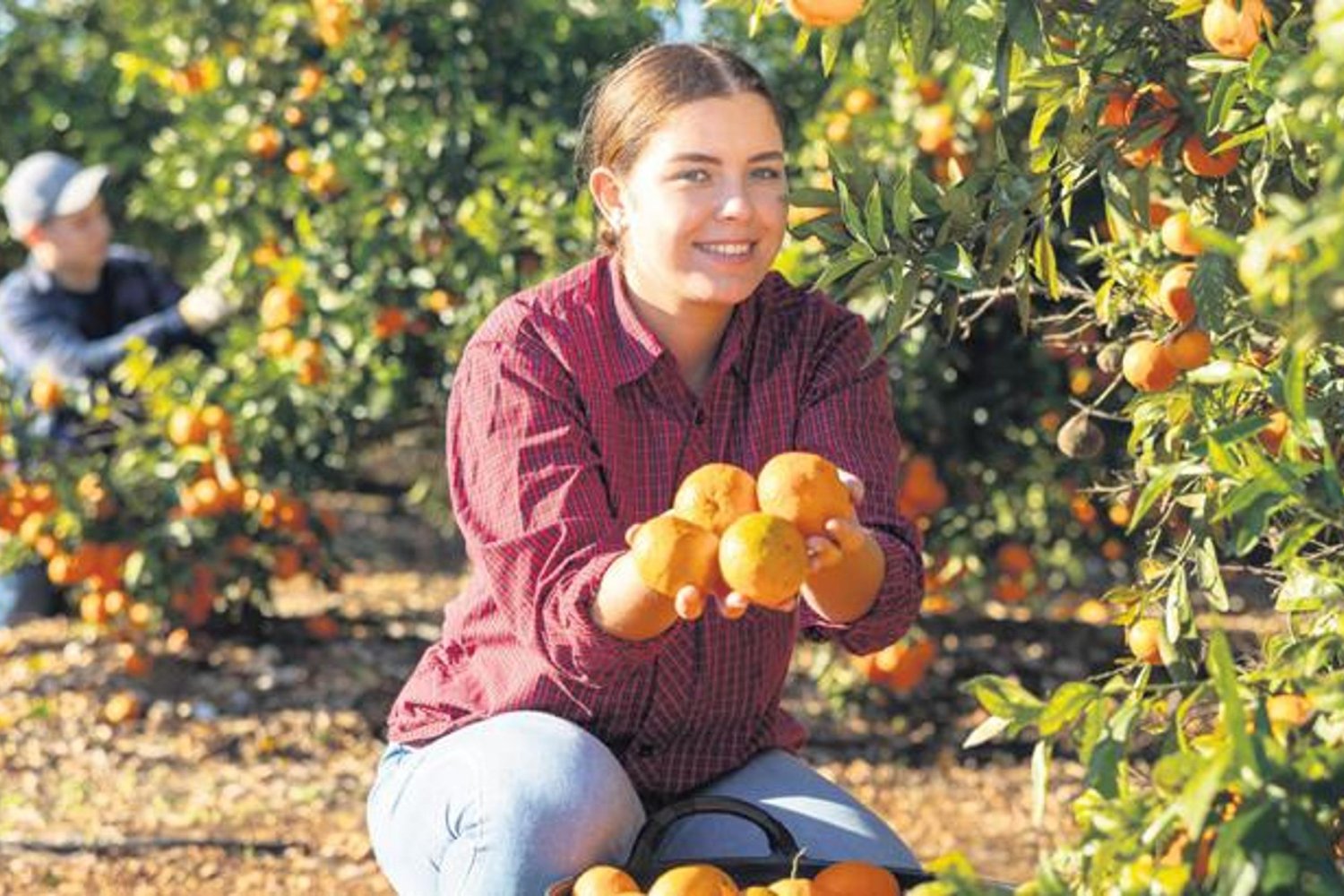 Tarım Bakanı Yumaklı'dan Üretici Sayısında 5 Yılda 190 Bin Artış Açıklaması