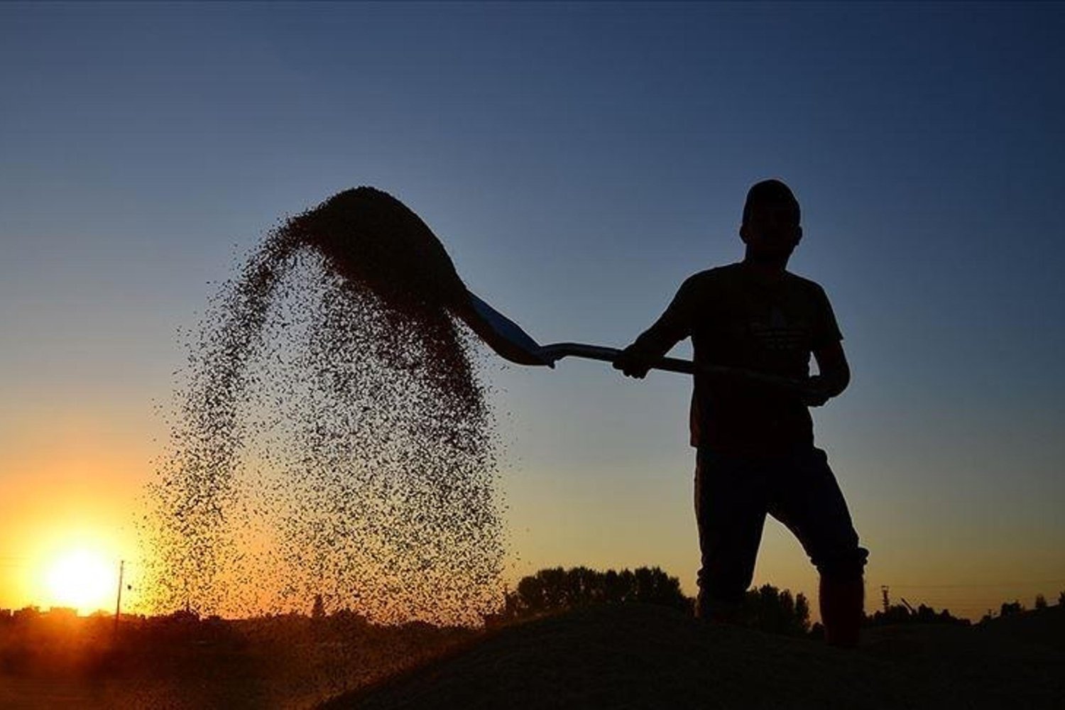 Tarım Destekleri Mutlu Çiftçiyi Sevindirdi: 10,6 Milyar Lira Ödeme Yapılıyor