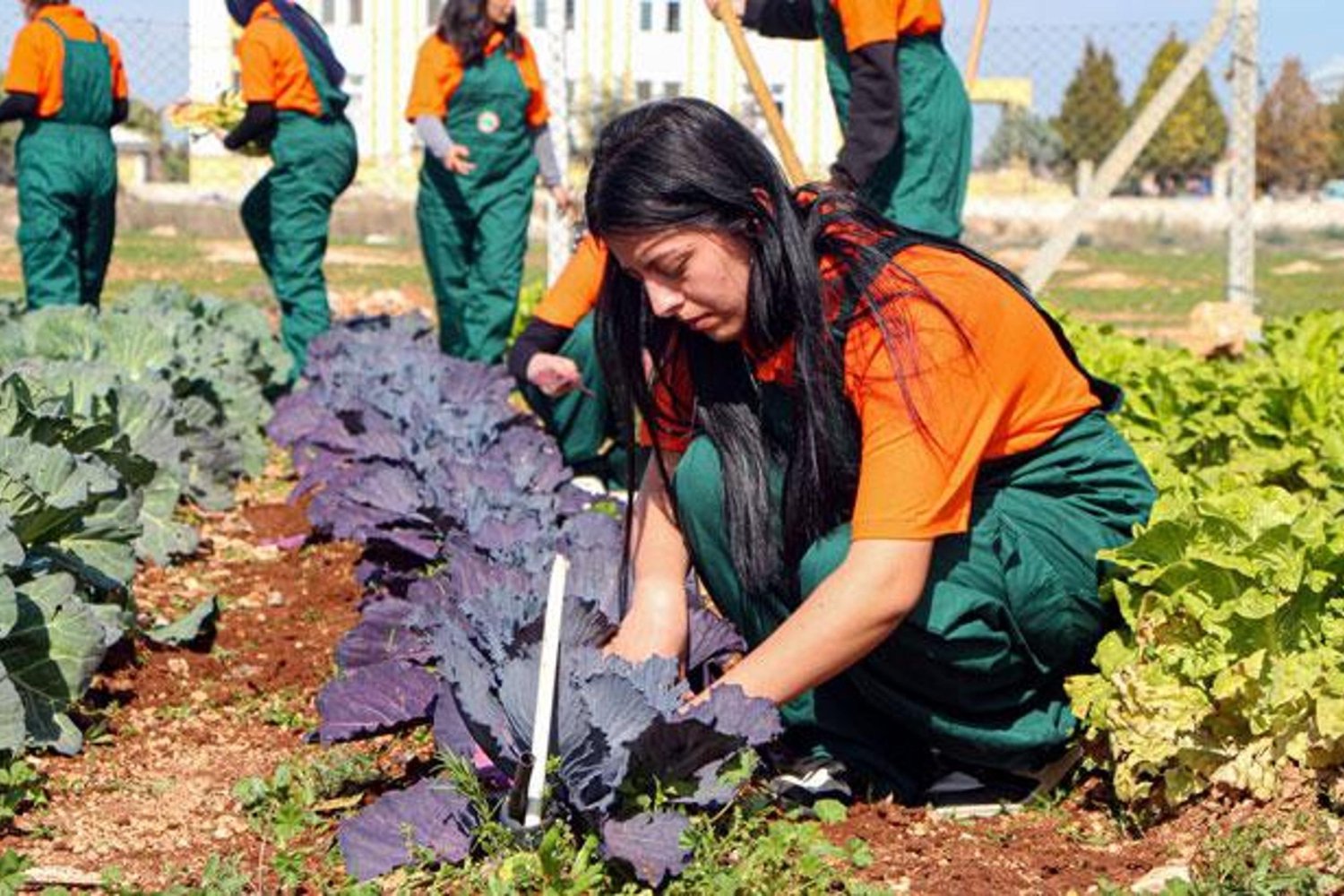 İşte Çukurova'da Geleceğin Tarım Uzmanları: TOBB Tarım Lisesi'nin Uygulamalı Eğitimleri