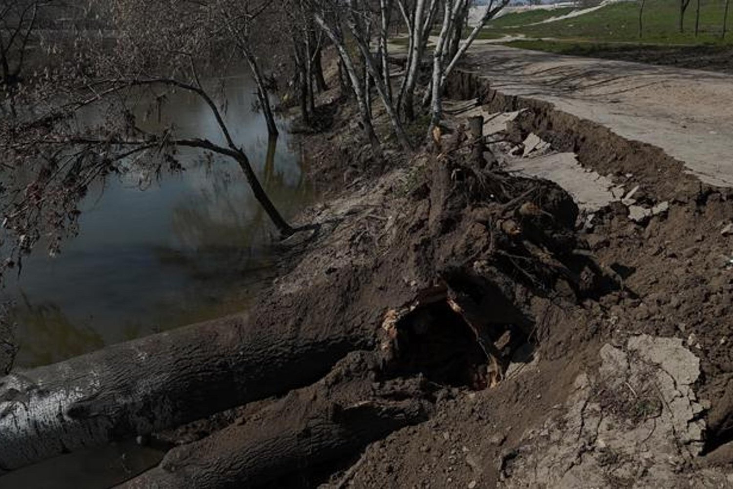 Edirne'de Tunca Nehri Kıyısında Toprak Kayması ve Çatlaklar Gündemde