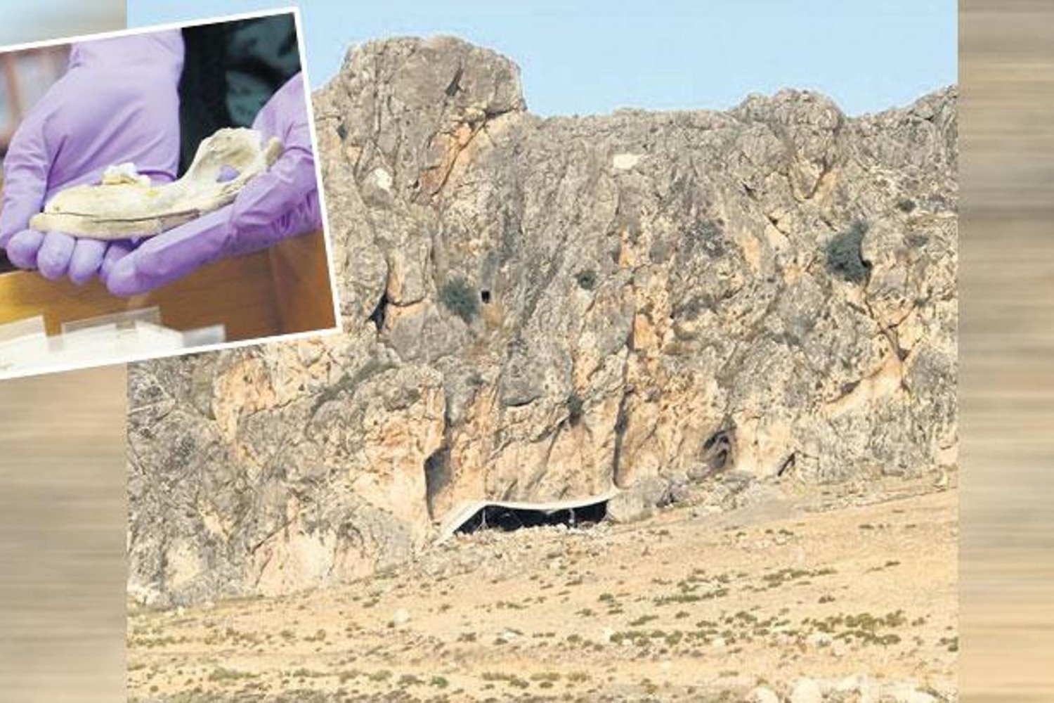 Dünyanın En Eski Köpek DNA’sı Karaman’da Keşfedildi: 16 Bin Yıllık Dostluk Kanıtı