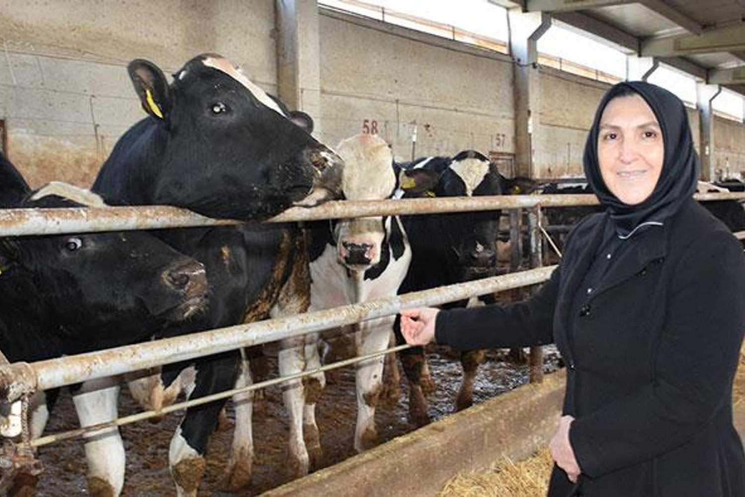 Kadın Girişimci Savaş'tan Hayvancılıkta Sürdürülebilirlik ve Başarı Hikayesi