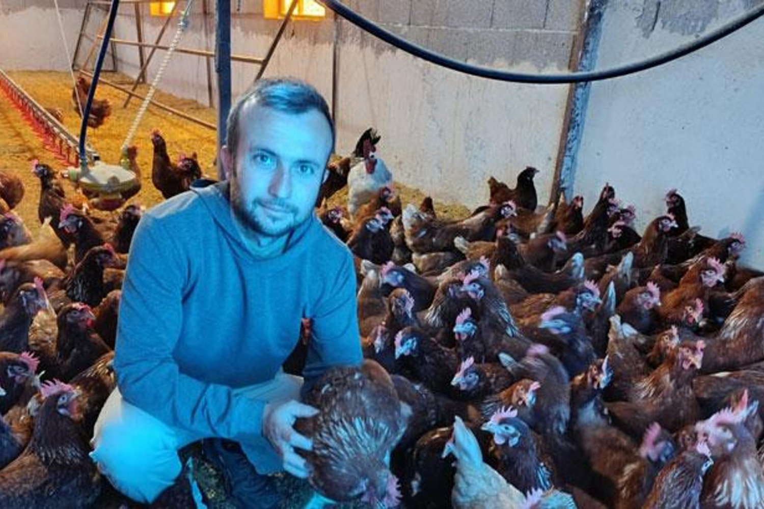 Manisa'da Köyüne Dönüş Rüzgarı: Kira ve Yaşam Maliyetleri Artınca Tavukçuluğa Başladı