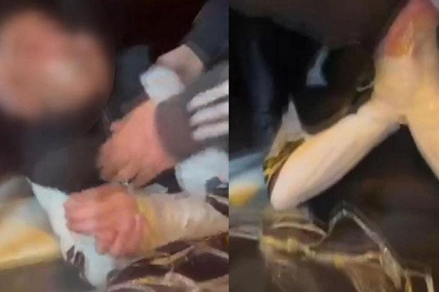 Sanal Medyada Görüntü Paylaşımıyla Gözaltına Alınan Çocuklar Şok Detaylar