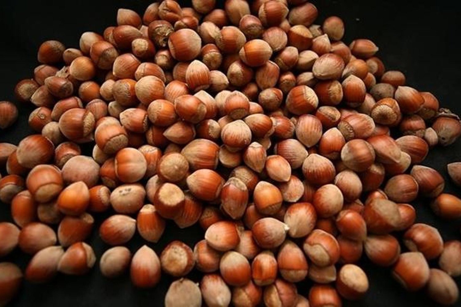 Fındık İhracatı 2026 İlk İki Ayda Düşüşte: Gelir Azaldı