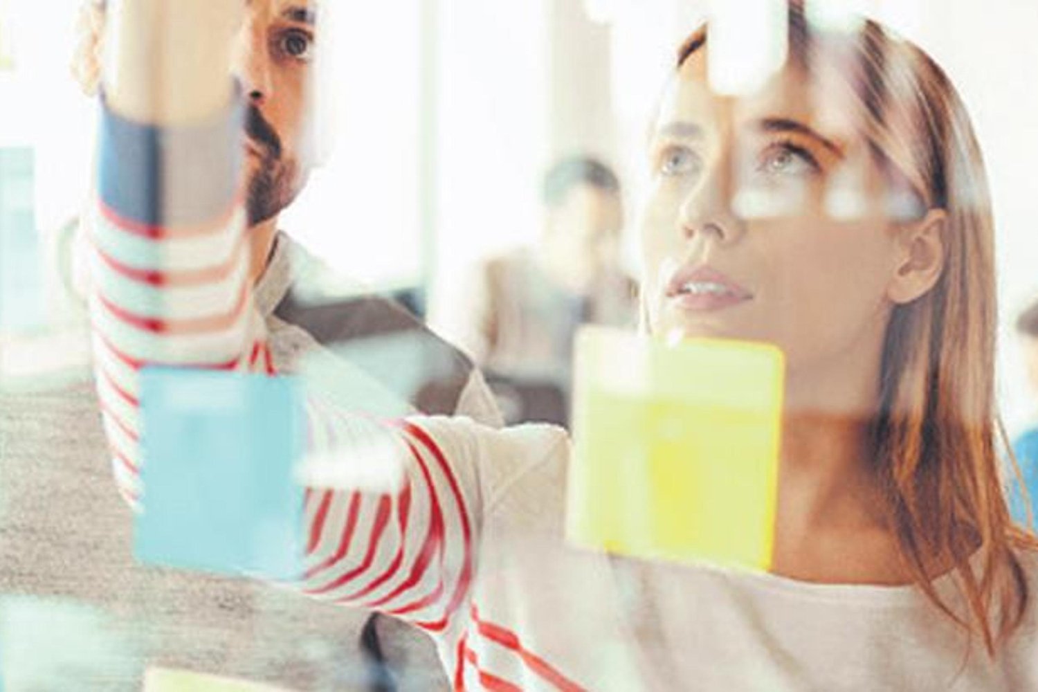 Gençlere İş Fırsatı: Erken Yaşta İstihdam Teşviki ile Güçlü Gelecek