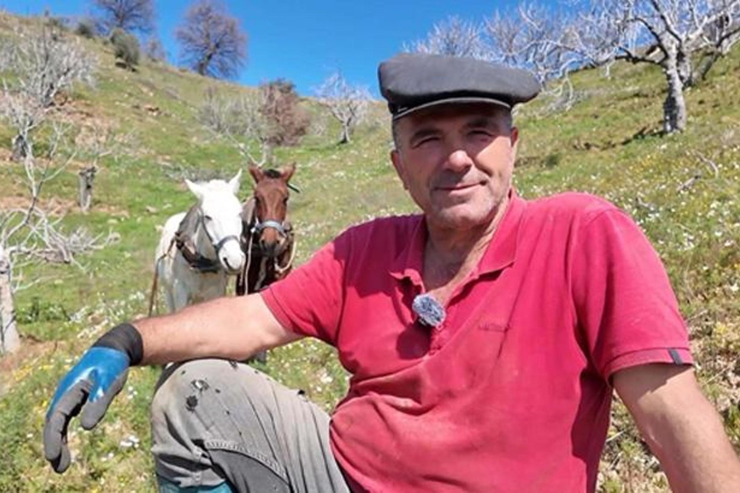 İncir Bahçelerinde Geleneksel Çiftçilik ve Atlı Bakımın Kazancı İnanılmaz