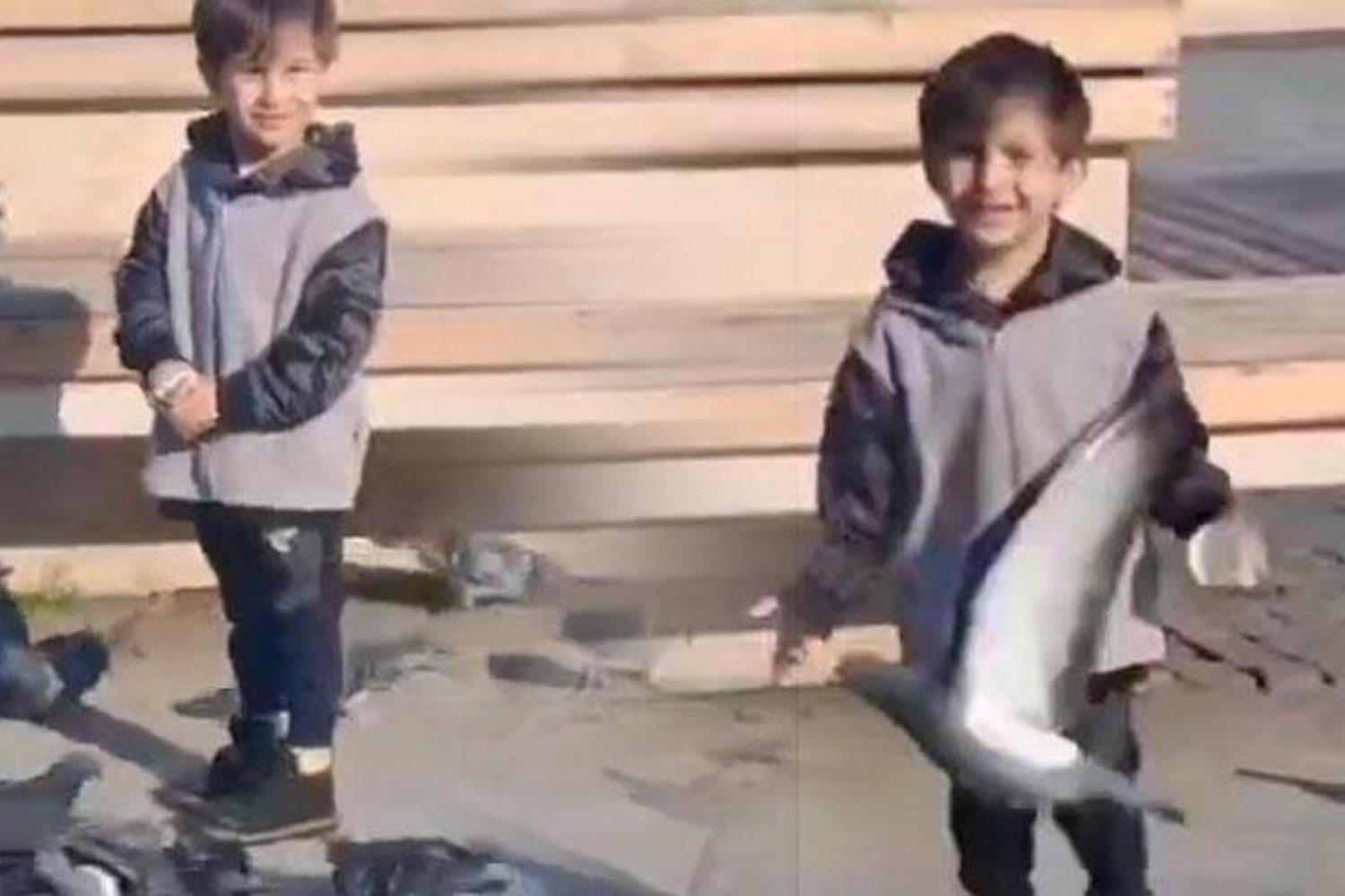 Katliam Gibi Kaza! 4 Yaşındaki Serhat Aydoğdu Çöp Kamyonunun Altında Kaldı