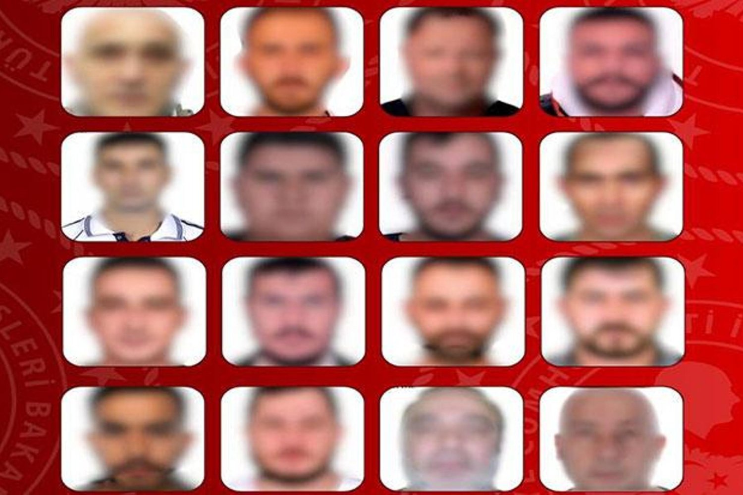 Gürcistan'da Büyük Operasyon: Aranan Suçlular Yakalandı!