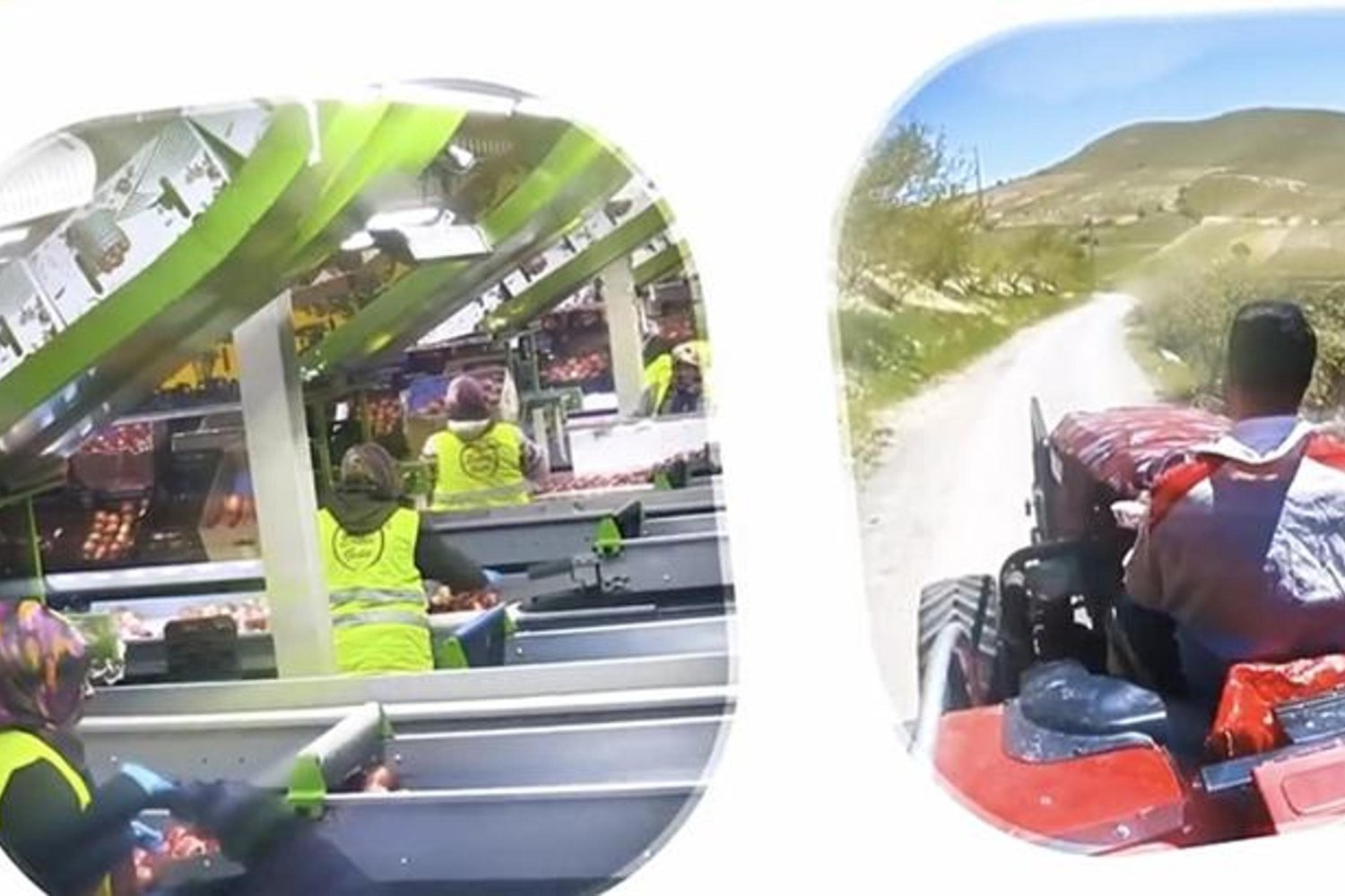 Kırsal Kalkınmaya 241 Milyon Euroyla Güçlü Destek: IPARD III Programı 2026 Yılı Çağrı Takvimi Açıkladı