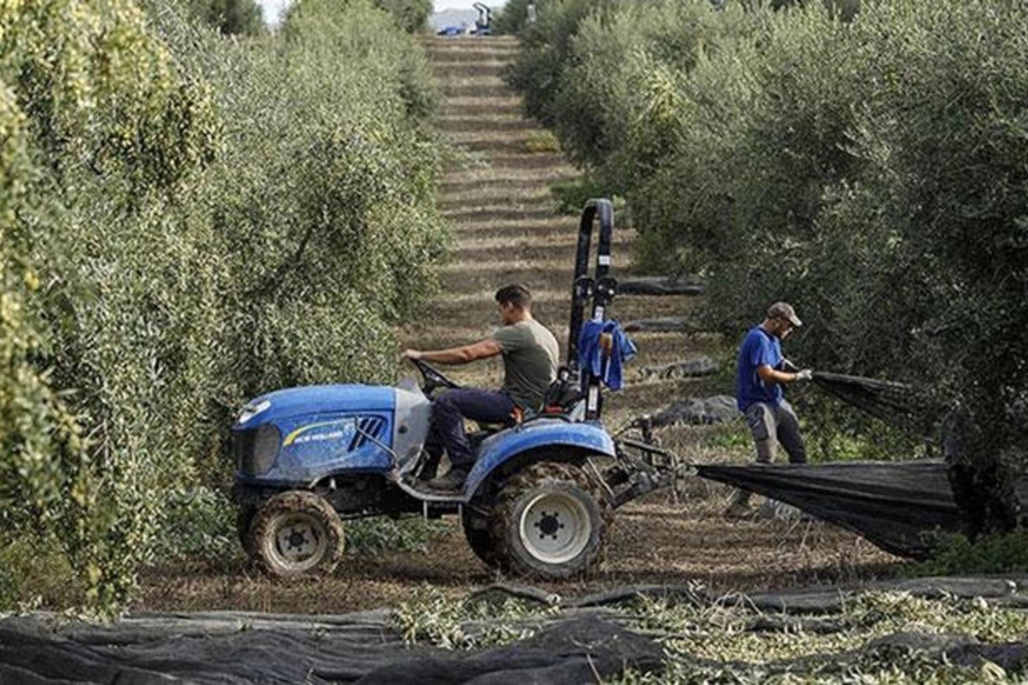 Tarım ve Enerji Destekleriyle Enflasyona Mücadele: 877 Milyon Avroluk Önlemler