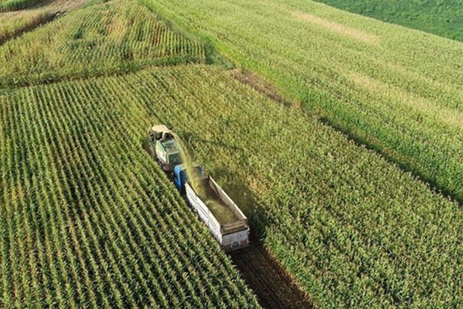 Tarım ve Kırsal Kalkınma 2026 Planıyla Güçlenecek