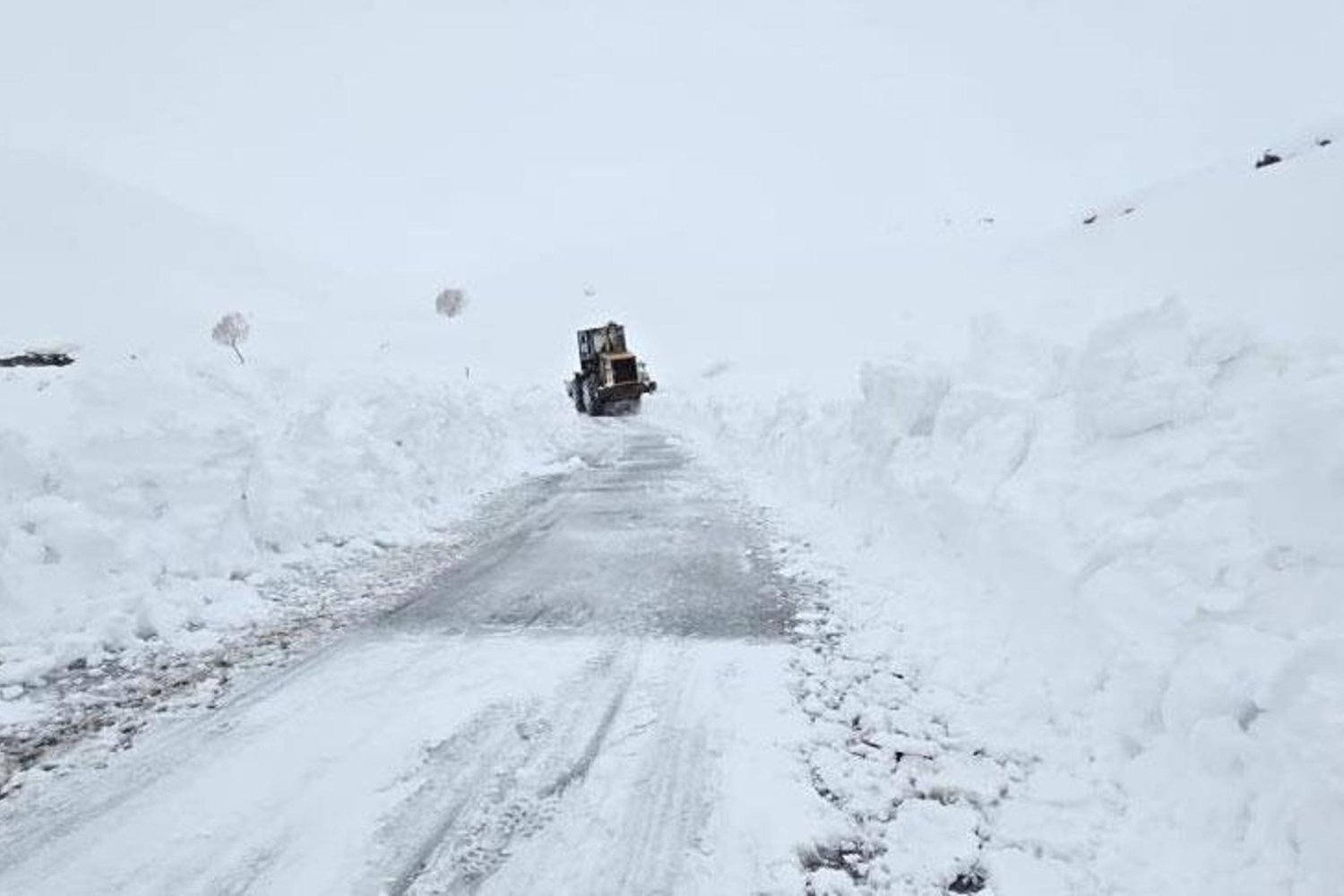 Yoğun Kar Altında Hayvanlara Yem Zorunluluğu Çifteyetleri Zorluyor!