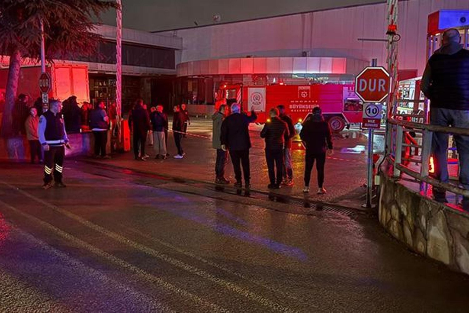 Sivas'ta Ormanın Hayaleti Vaşak Görüntülendi: Doğanın Nadir Anları