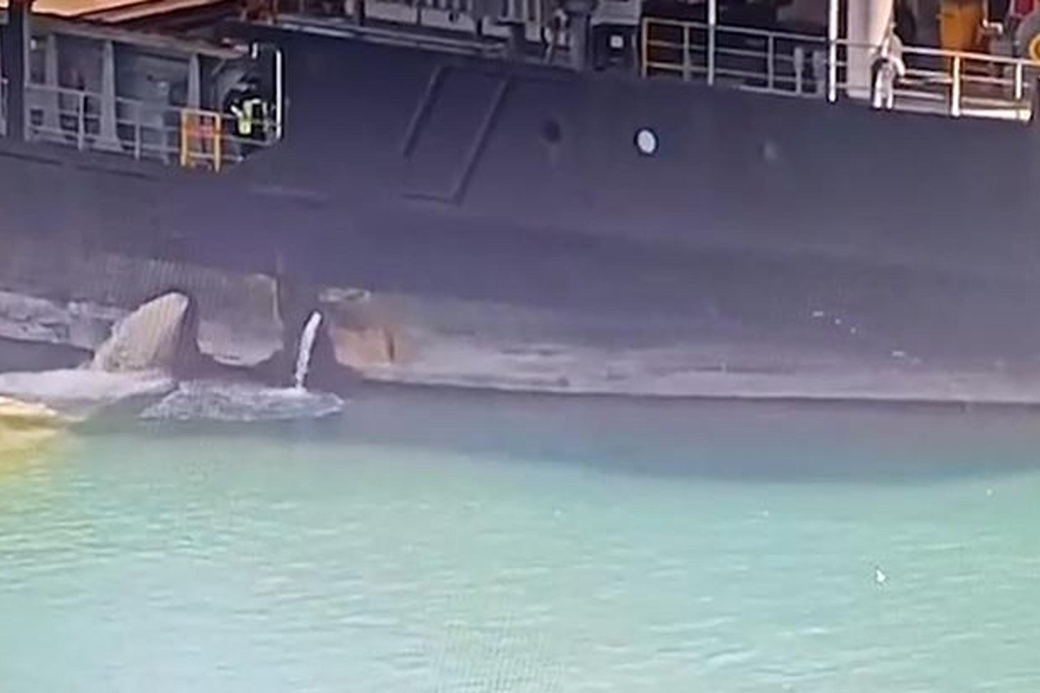 Denizimizi Korumak İçin Teknolojiyle Sıkı Takip! EGDS ile Gemiler Denetleniyor