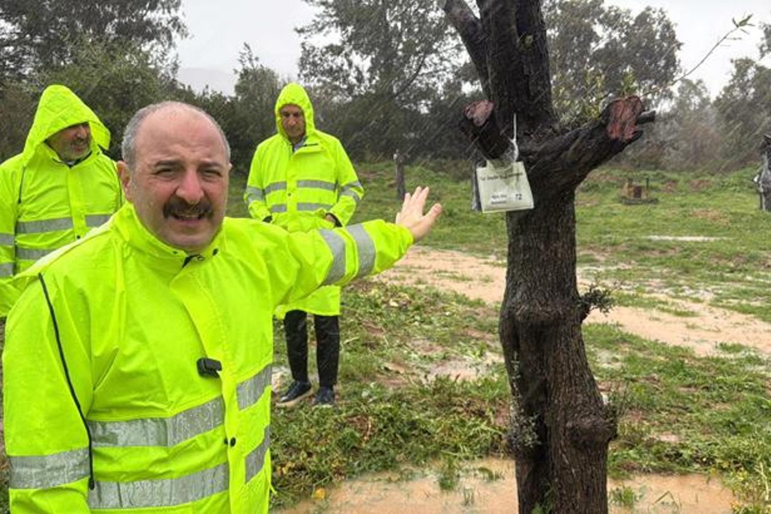 Mustafa Varank Muğla'da Zeytin ve Maden İncelemesiyle Yerli Kaynakların Önemine Vurgu Yaptı