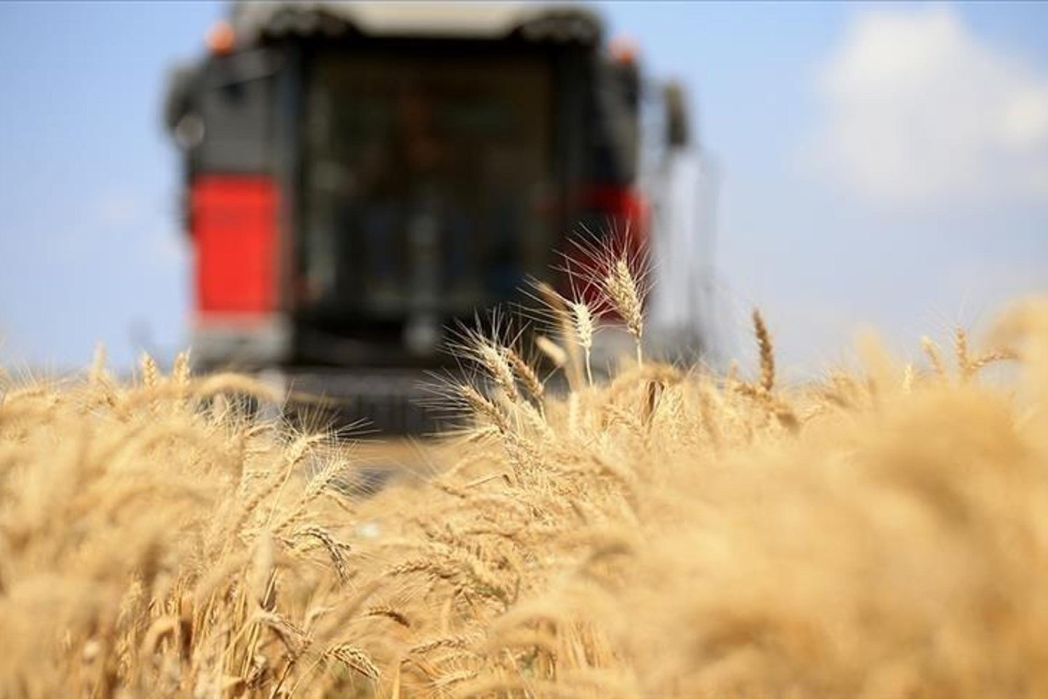Tarım Enflasyonu Alarmı: Orta Doğu Savaşının Gıda ve Enerji Fiyatlarına Etkisi