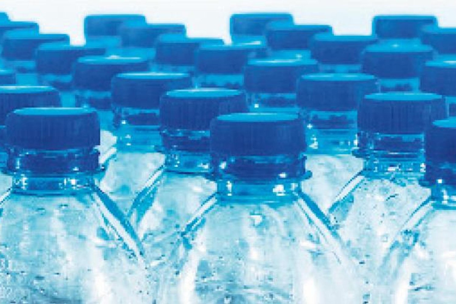 BPA Yasakları Gündemde! İnsan Sağlığına Zararları Neler?