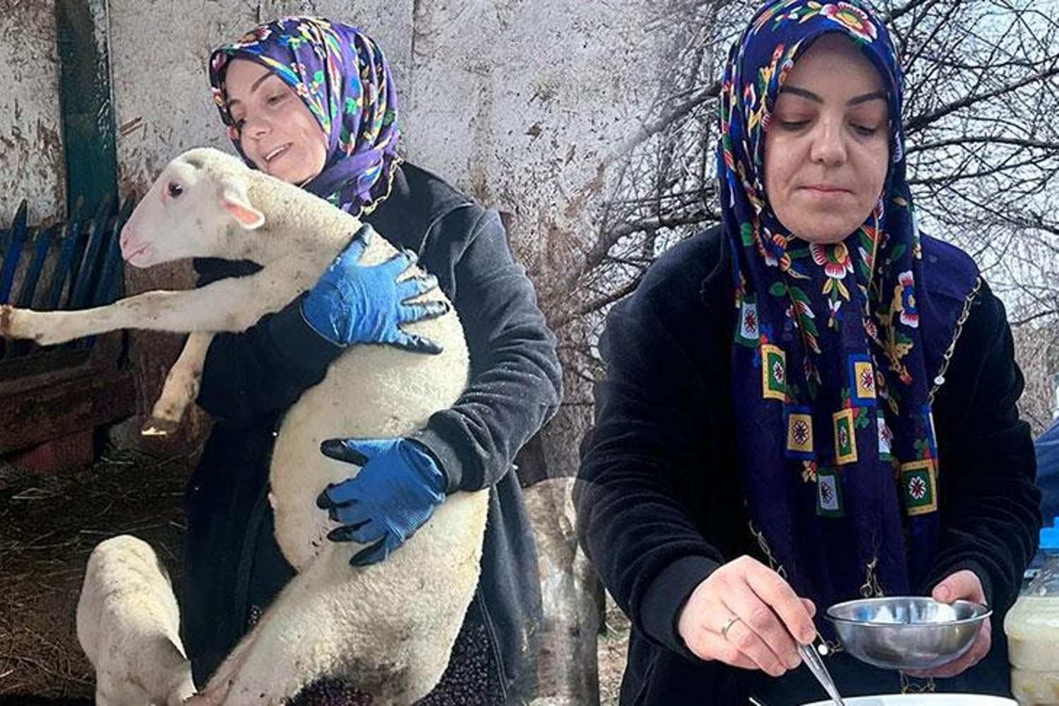 Kadın Çiftçi Nurcan Göçmen, Fransız Lacaune Irkı Koyunlarla Hayvancılıkta Başarıyla Öne Çıkıyor
