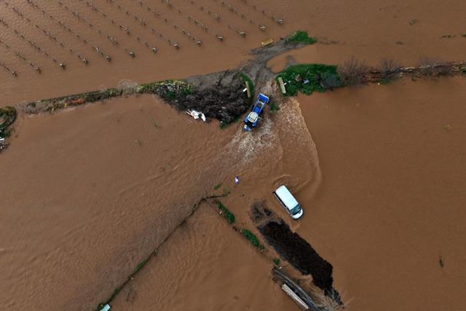 Manisa Turgutlu'da Gediz Nehri Taşması: Tarım Alanları ve Bağlar Sular Altında