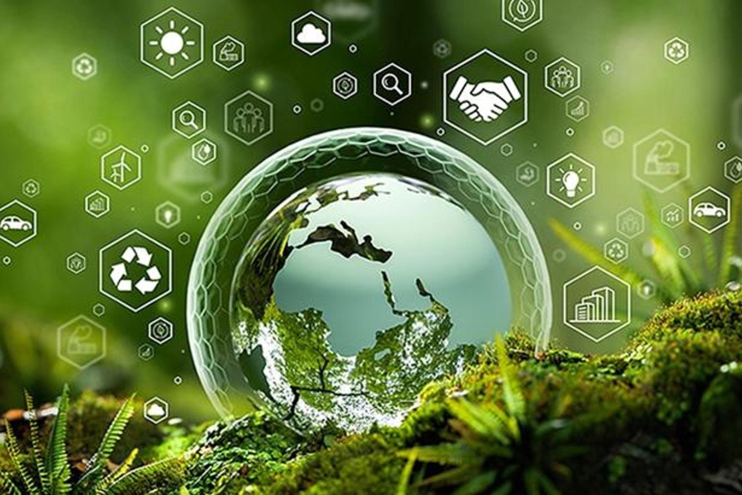 Türkiye'nin SıfırAtıkProjesiyle Küresel Çevre Hamlesinde Liderliği Artıyor