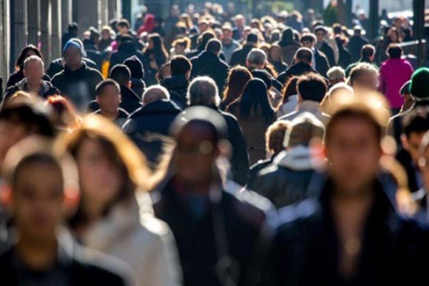 İşsizlikte Çarpıcı Düşüş: 2025 Yılında İşsizlik Oranları Yüzde 8,3'e Geriledi