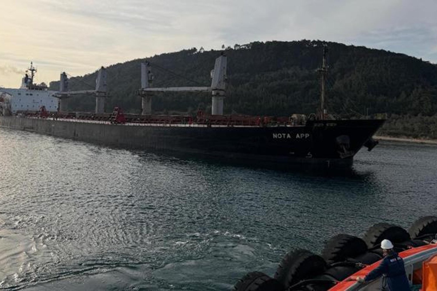 Çanakkale Boğazında Tahıl Yüklü Gemi Makine Arızasıyla Karaya Oturdu