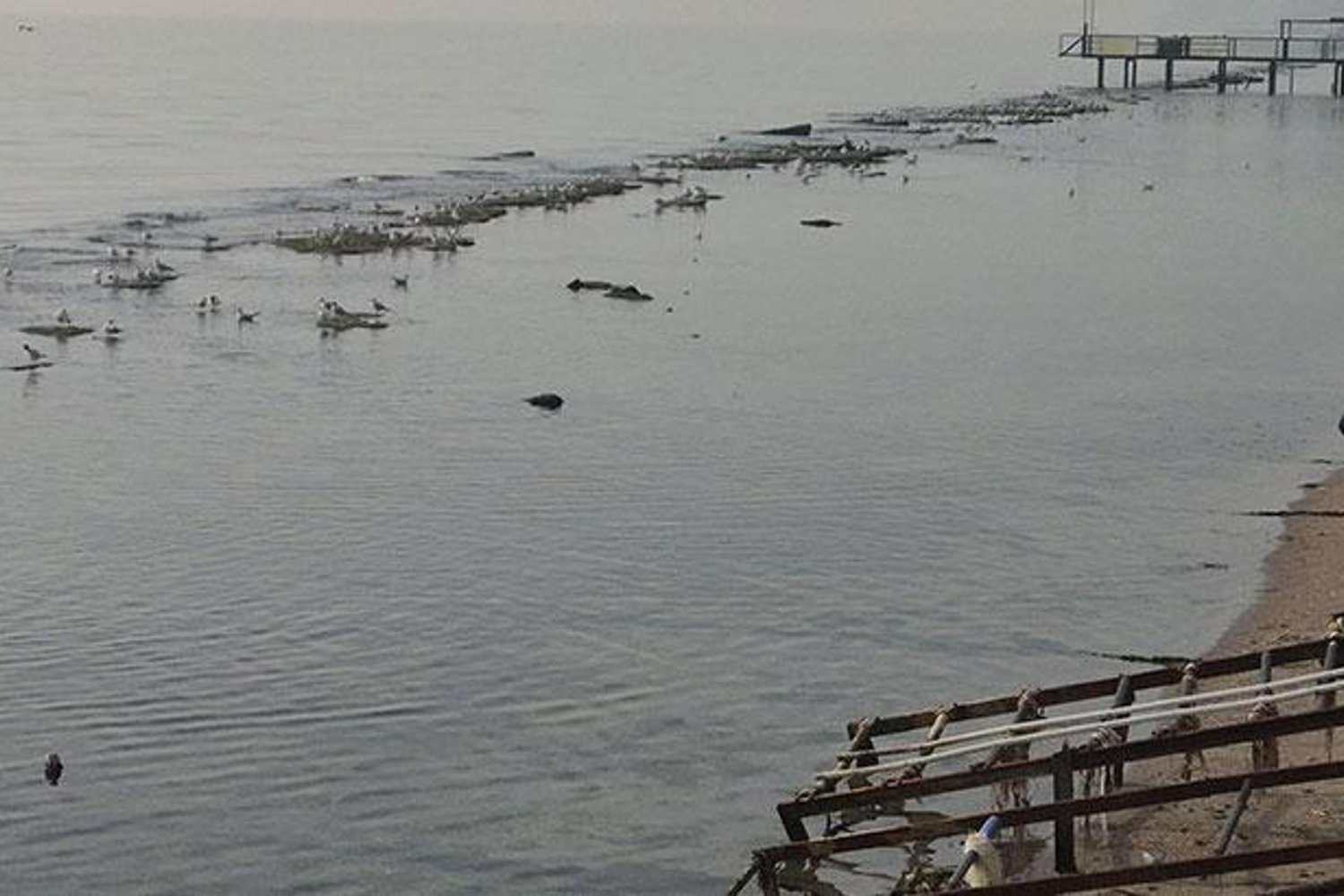 Deniz Çekilmesiyle Ortaya Çıkan Kayalıklar ve Sürprizler