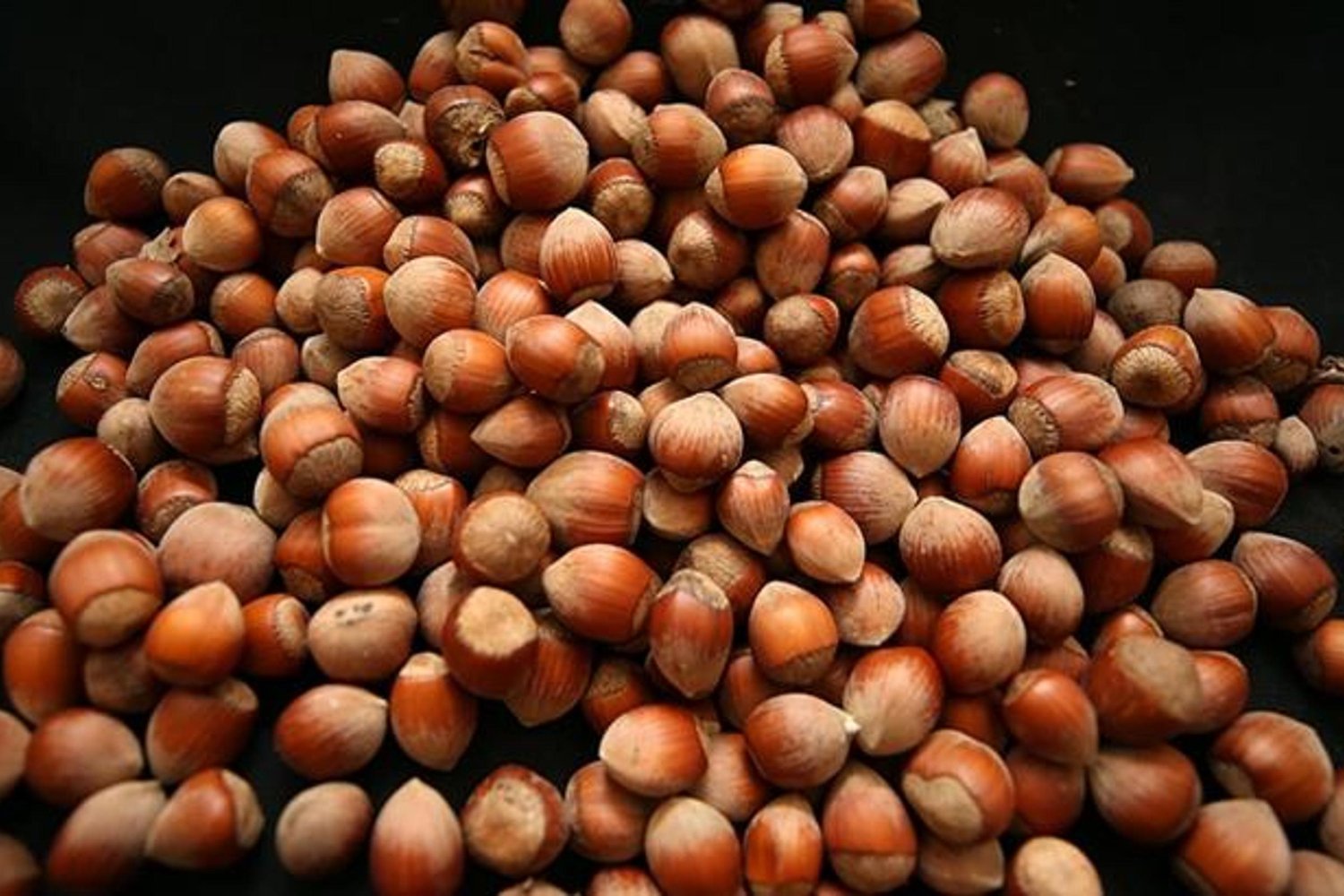 TMO'dan Fındık Satışlarına Dikkat Çeken Açıklama: Sakarya'da Kavrulmuş Fındık Fiyatları Rekor Kırdı