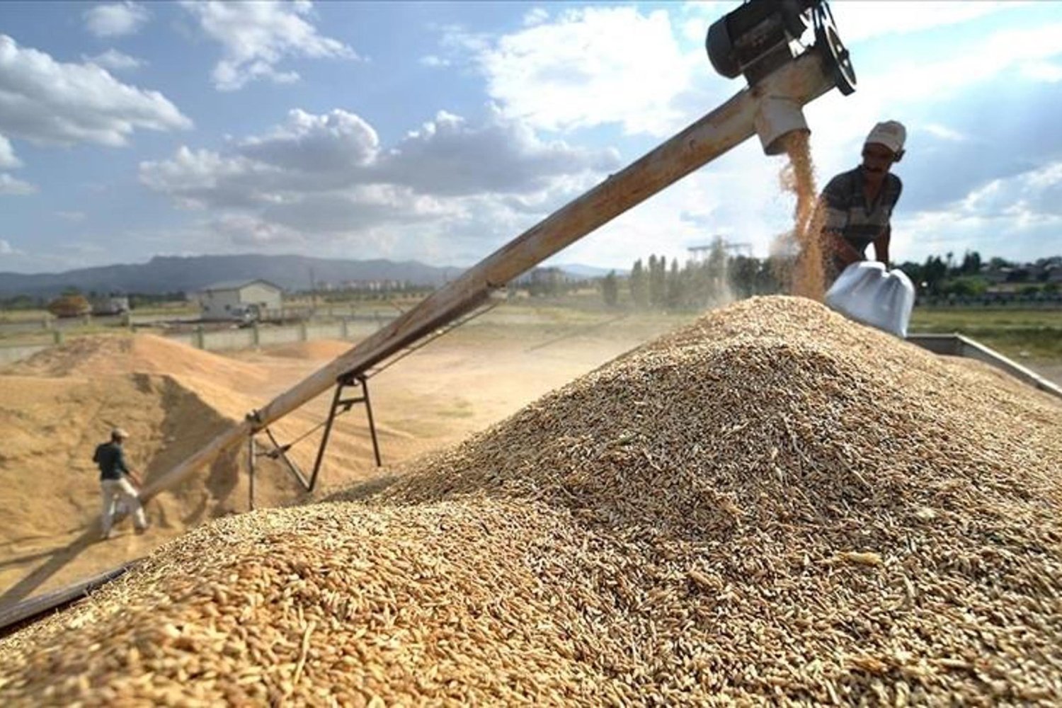 TMO Piyasa İstikrarını Sürdürüyor: Buğday ve Tarım Ürünlerinde Fiyatlar Sabit Kalacak