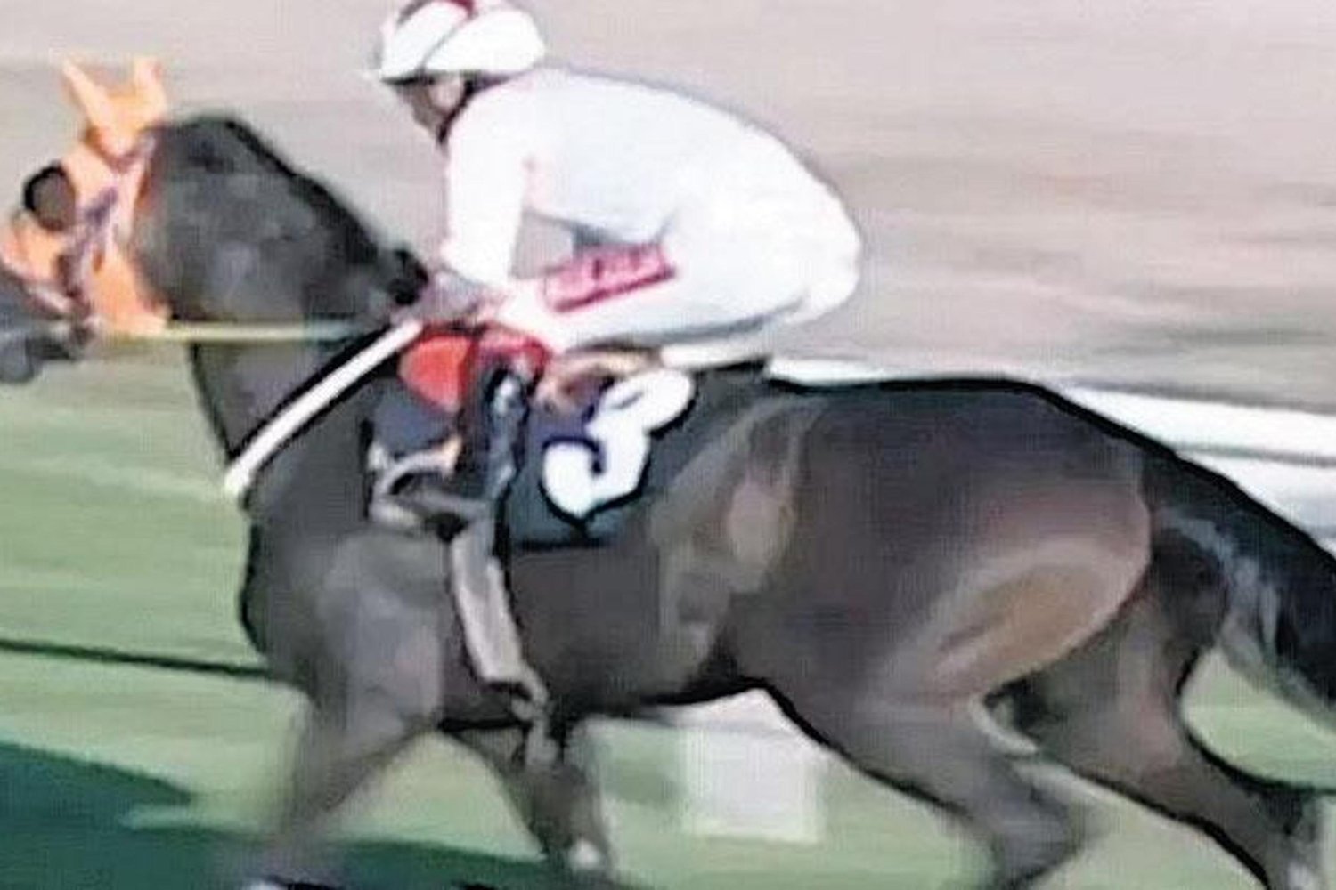 Tür Tayini ve Et Güvenliği Şok Detaylar