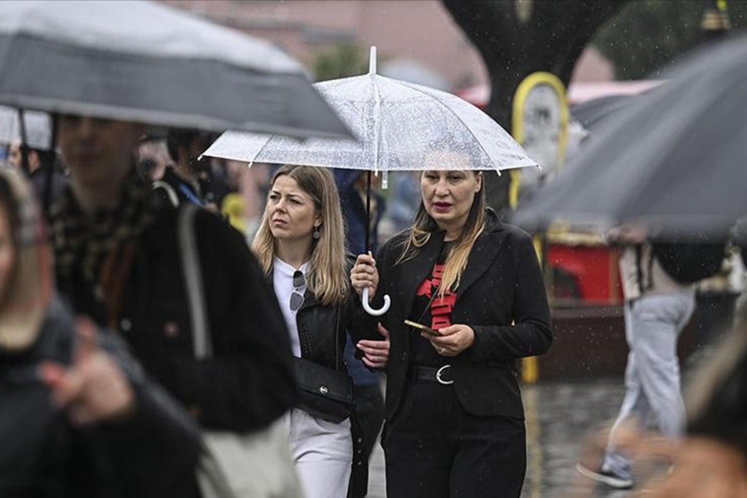 Türkiye'de Kadın ve Erkek Nüfusu Araştırması: Güç Dengesi ve Eğitime Yükseliş