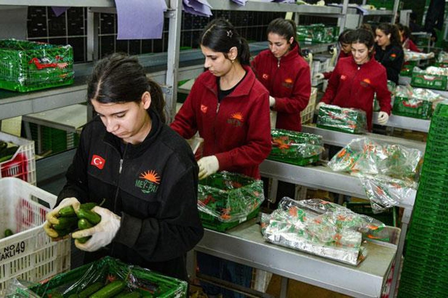 Rusya'nın Tedarik Rotası Türkiye'ye Dönüyor! Yaş Sebze ve Meyvede Yeni Dönem