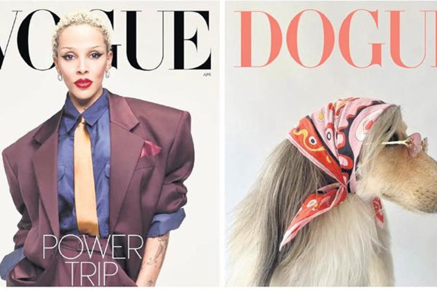 Modada Davalık Olan Logo Çatışması: Dogue ve Bağımsız Yaratıcılar