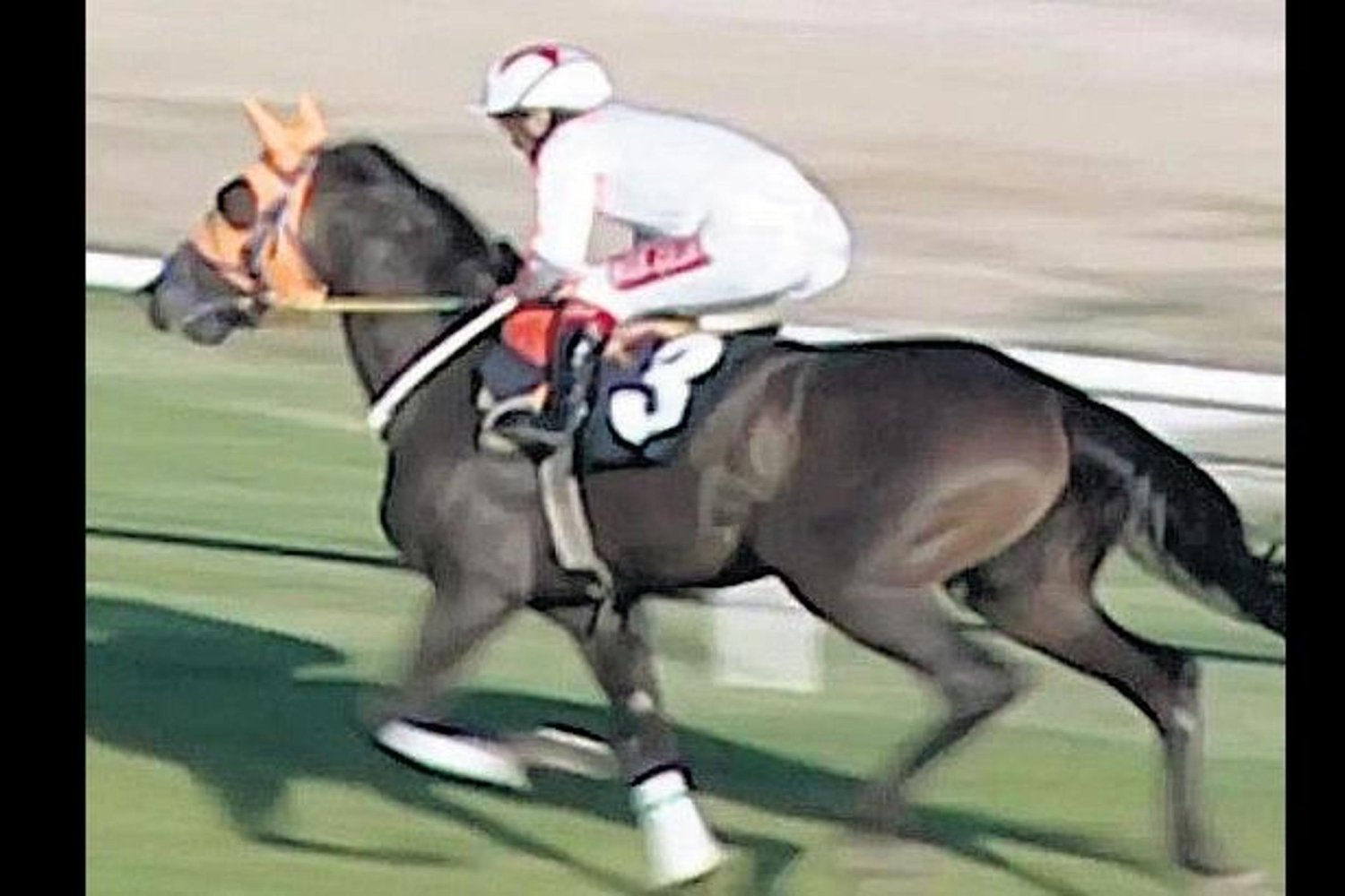 Yarış Atı Etinden Yapılan Kavurma Şoku: Polis ve Belediye Seferber Oldu