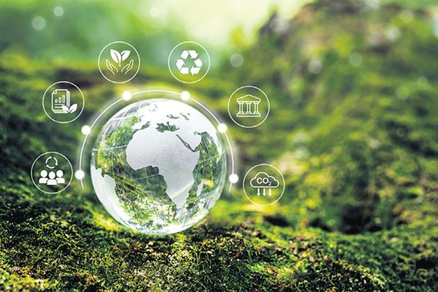 Avrupa Yeşil Mutabakatı Destekli KOBİ'lere Büyük Fırsat: Hibe Desteği Kazanıldı