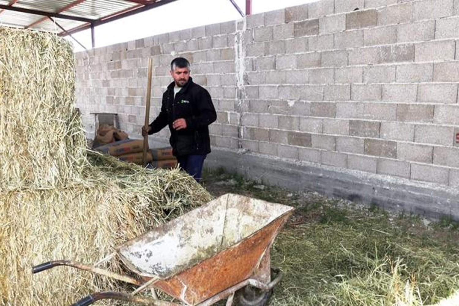 Küçükbaş Hayvancılığı Büyük Çözümlerle Güçlendirmek: Sefa Akbulut'tan Uyarı ve Tavsiyeler