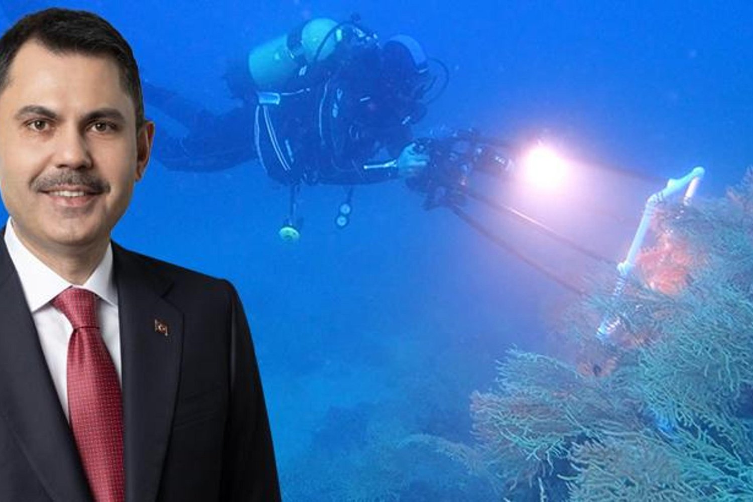 Mercan Restorasyonu Marmara Denizi'nde Yeni Bir Umut