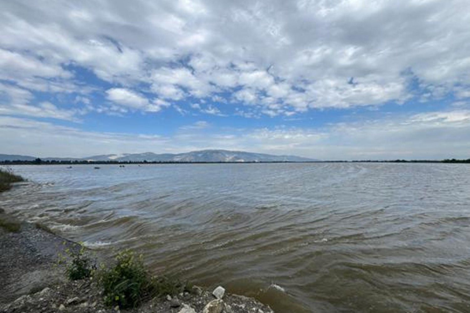 Büyük Menderes Taşkını Söke ve Koçarlı'da 65 Bin Dönüm Tarım Arazisini Su Altına Aldı