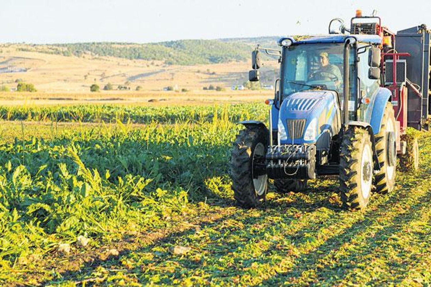 Tarımda Yeni Dönem: Üreticiden Ödemelerde Sıkı Denetim ve Hüküm getirilmesi