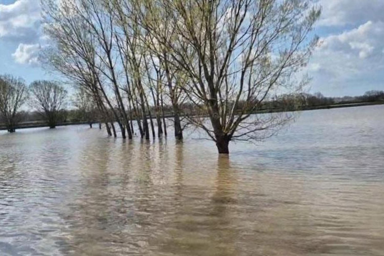 Edirne'de Yağışlar Taşkına Neden Oldu, Tarım ve Yol Hasarları Görüldü