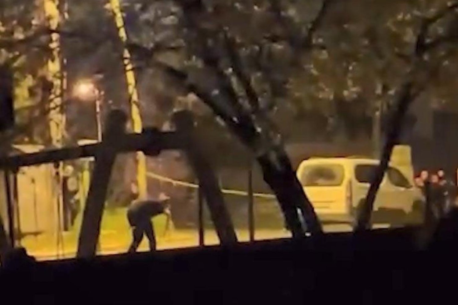 Sakarya'da Polise Ateş Açan Şüpheli Yakalandı: Olay Çatışma ve Yaralanma ile Sonuçlandı