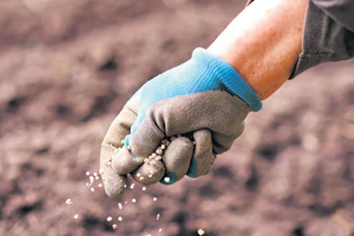 Gümrük Vergileri Sıfırlandı! Gübre Fiyatları Düşecek mi?