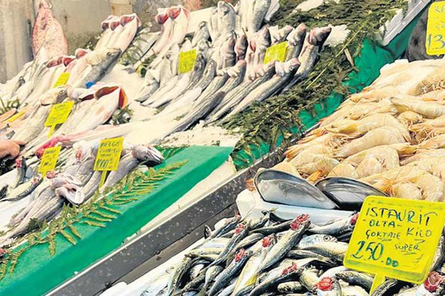 Balık Sezonu Son Günlerde Ucuzladı: Hamsi ve İstavrit Fiyatları Düştü!