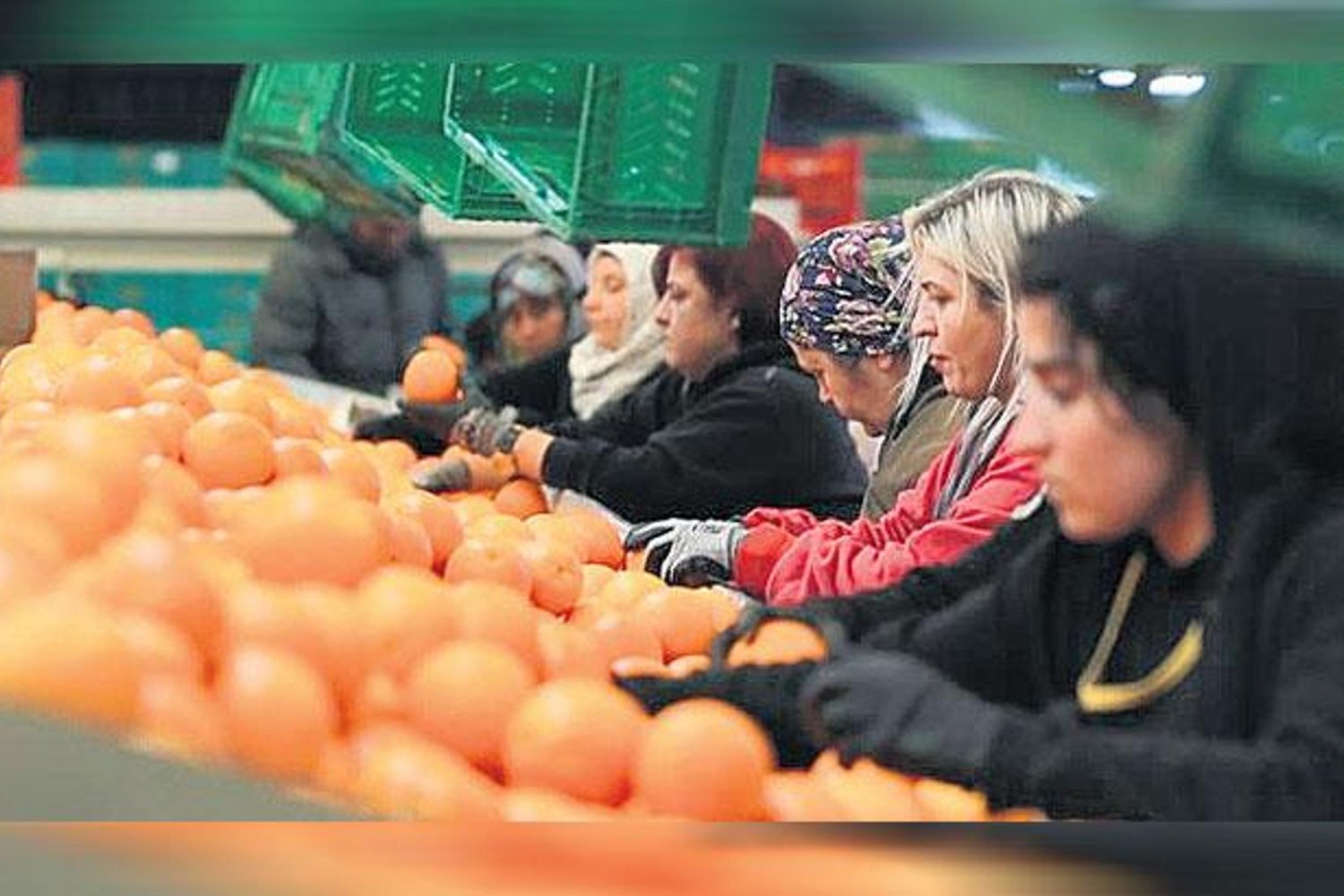 Kadınların İhracat Gücü Artıyor: Stratejik Rol Üstleniyor