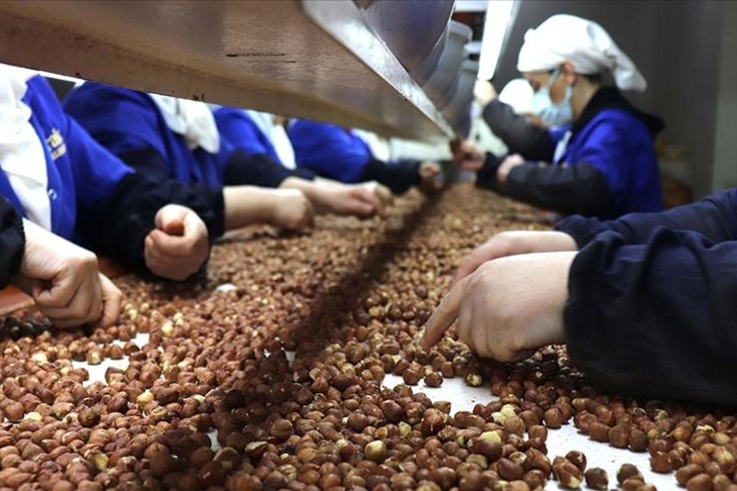 Kadınların İhracattaki Güçlü Rolü Türkiye Ekonomisinde Artış Devam Ediyor