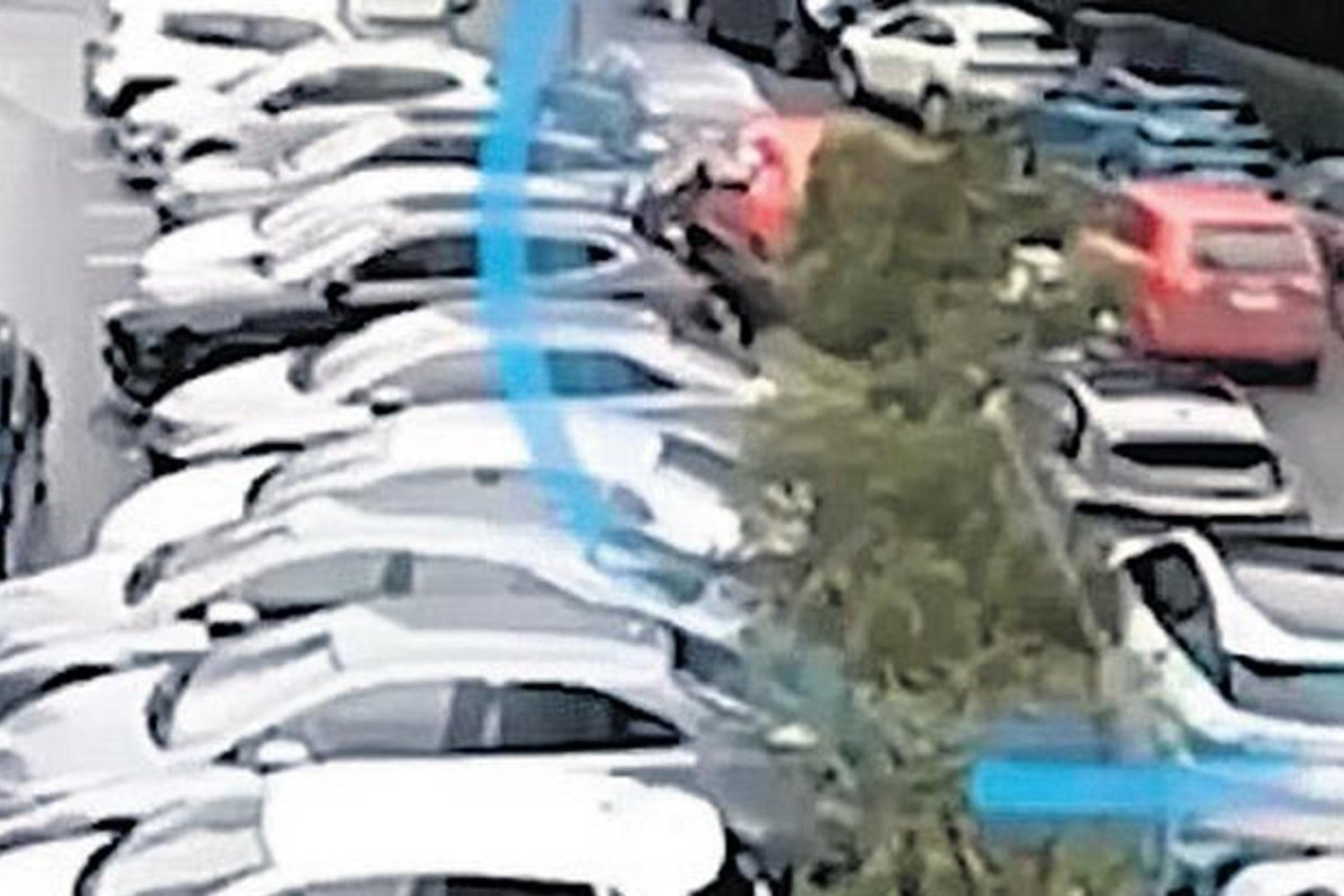 Teröristlerin Keşif ve Saldırı Planları Peyder Pey Gözler Önüne Serildi