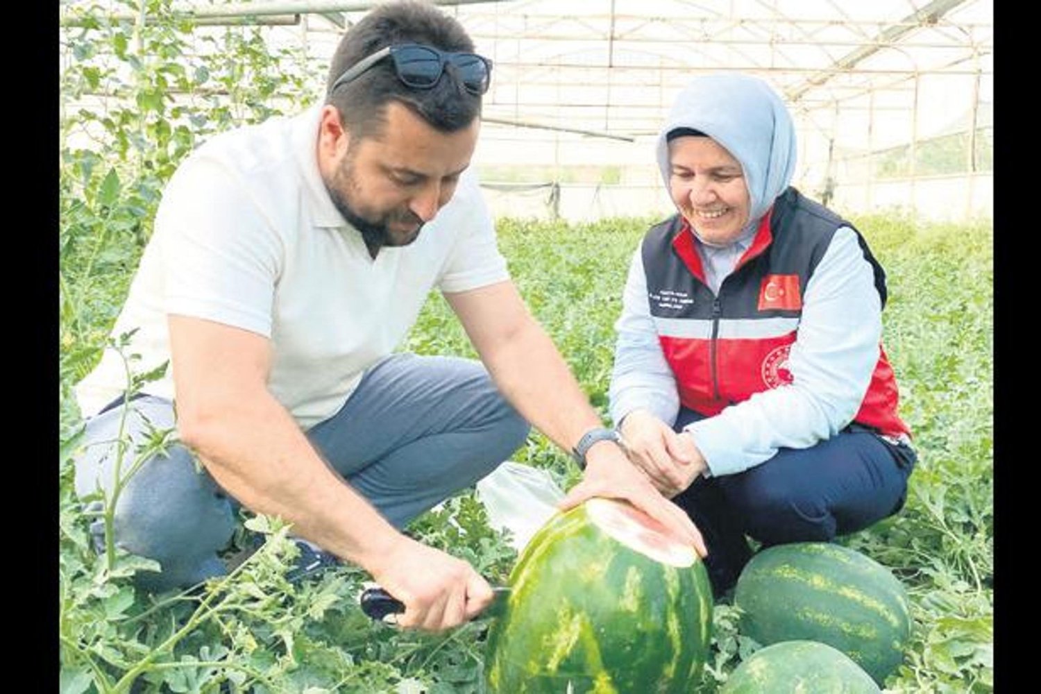 Aksu'da Erkenci Karpuz Hasadı Başladı! İri Turfanda Ürünler Satışa Sunuluyor