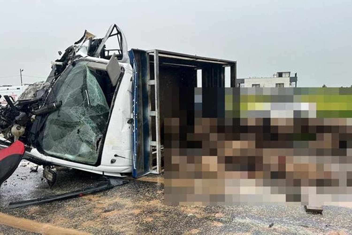Siirt'te Koyun Yüklü Kamyonet ve Otomobil Çarpıştı: 2 Ölü, 3 Yaralı